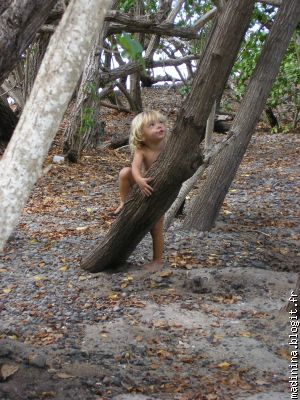 à la recherche de Tarzan!!!